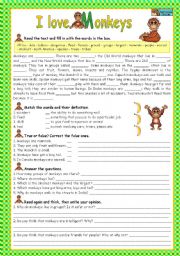 English Worksheet: I LOVE MONKEYS