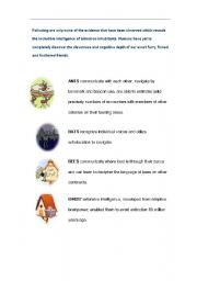 English Worksheet: ABC animals