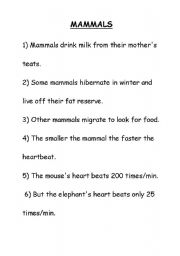 English worksheet: Mammals