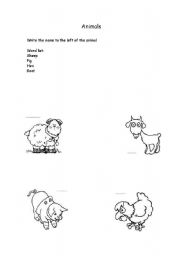 English worksheet: some animals 