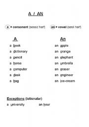 English worksheet: A & AN