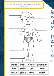 English Worksheet: Body parts*editable*