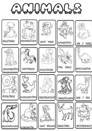 English Worksheet: animals