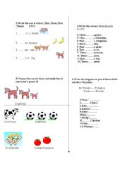 English Worksheet: plurals