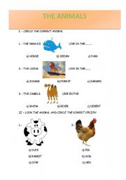 English worksheet: ANIMALS