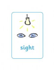 English Worksheet: five senses