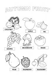 English Worksheet: autumn fruits