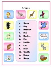 Animal matching exercise