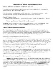 English Worksheet: essay writing