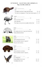 English Worksheet: Strange Australian animals