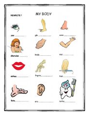 English Worksheet: Body Parts