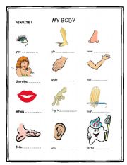 Body Parts