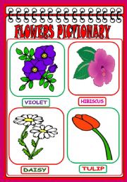 Flowers Pictionary