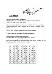 English worksheet: The Shrew