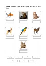 English worksheet: Animal