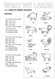 English Worksheet: Domestic Birds and Animals