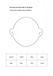English worksheet: face match