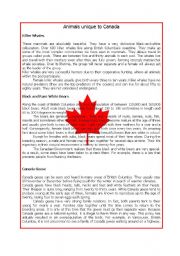 English Worksheet: Animals unique to Canada