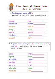 English Worksheet: Plural Forms of Regular Nouns