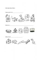 English worksheet: hobby