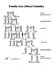 English Worksheet: family tree