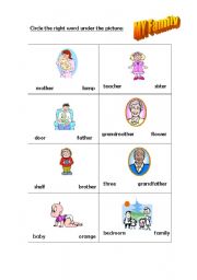 English worksheet: My Family