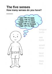 English Worksheet: The five senses