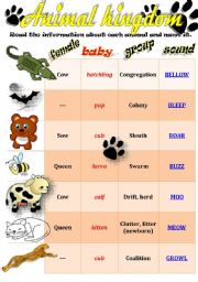 ANIMALS: baby animals, females, groups and sounds