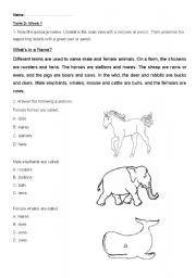 Comprehension worksheet