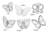 English Worksheet: Color the butterflies