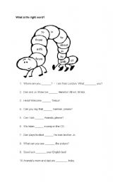 English Worksheet: collocations and prepositions