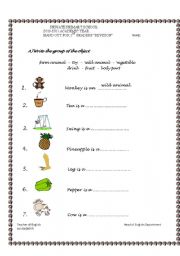 English worksheet: first semester revision 1st grade