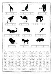 English Worksheet: Animals of tropical countries