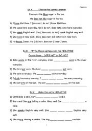 English worksheet: Negative