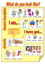 English Worksheet: What do you look like?
