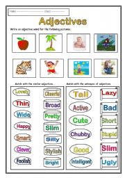 English Worksheet: Adjectives ( worksheet )