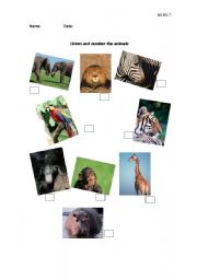 English worksheet: Listen and number the jungle animals