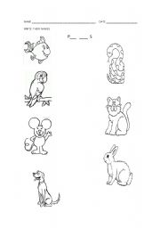 English Worksheet: PETS