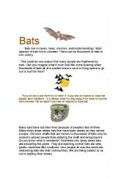 English worksheet: Bat Safety 