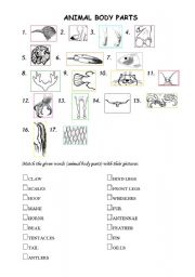 English Worksheet: Animal body parts