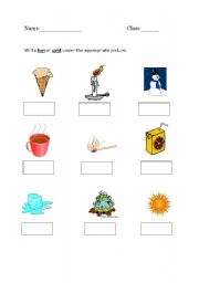 English Worksheet: hot & cold