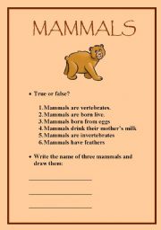 English worksheet: Mammals