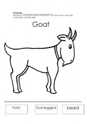 English worksheet: Goat