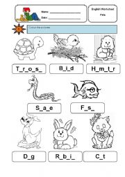 English Worksheet: my pets