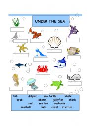 English Worksheet: UNDER THE SEA