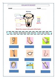 English Worksheet: Body Parts