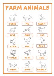 FARM & WOODLAND ANIMALS PICTIONARY (30 animals)