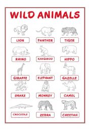 WILD & SEA ANIMALS PICTIONARY (30 animals)