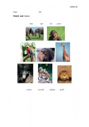 English Worksheet: Match and trace (jungle animals)