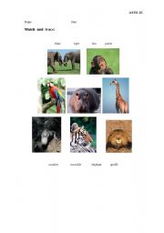 English worksheet: Match and trace (jungle animals)